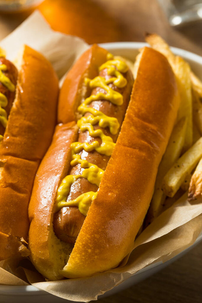 Homemade Hot Dog with Mustard and French Fries - Foto, Imagen