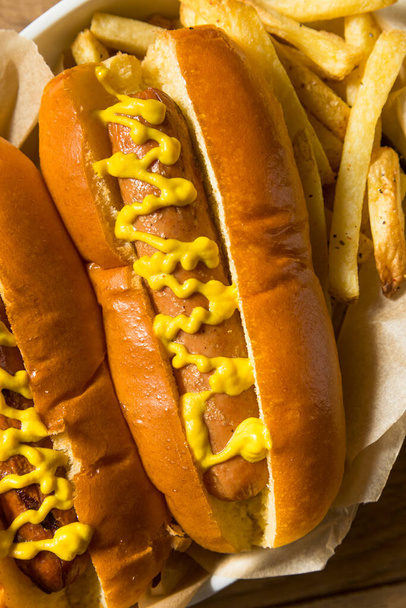 Kotitekoinen hot dog sinapin ja ranskalaisten ranskalaisten kanssa - Valokuva, kuva