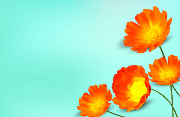 Minimal background with calendula flower and copy space for your text. 3D realistic yellow marigold flower on blue background. Banner. Vector illustration - Vector, Image