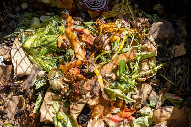 Куча свежих кухонных отходов лежит поверх старого компоста, с кусочками фруктов и овощей рядом с листьями и другим органическим материалом. - Фото, изображение