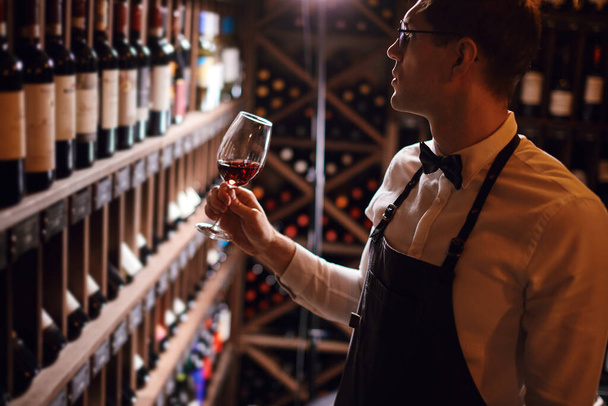 Cavist looking for special vintage or particular wine for client in wine shop - 写真・画像