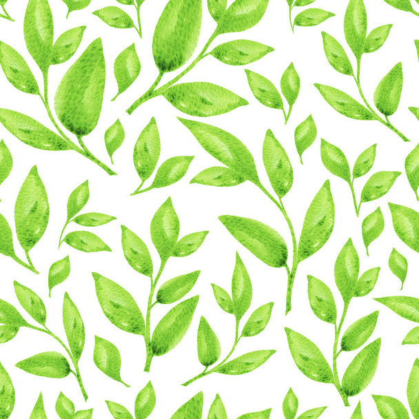 Juicy branches with leaves watercolor seamless pattern. Nice summer floral illustration isolated on white background for textile, wallpaper, fabric, postcard, invitation, cover, wrapping paper - Photo, Image