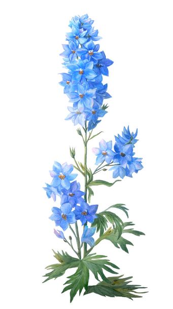 芽と葉を持つ青い蜂の幼虫は白い背景に孤立しています。美しい現実的な植物図。それはお祝い、招待状、カード、プリントや装飾の他の分野でよく見えます. - 写真・画像
