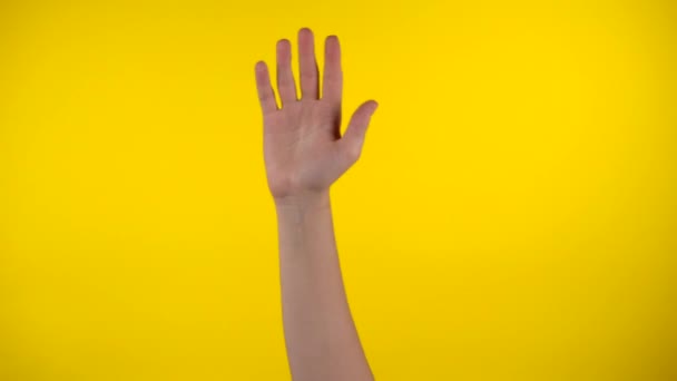 Hand on yellow background, say hello by gesturing, waving woman's hand - Footage, Video