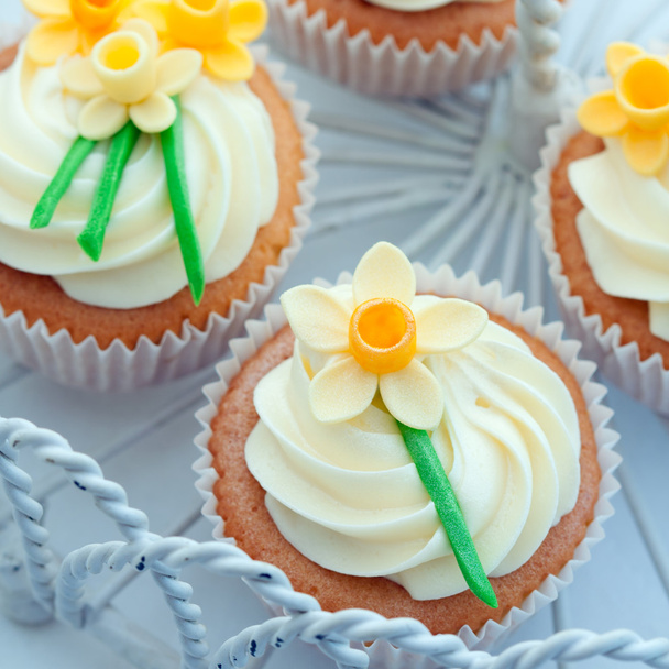 Daffodil cupcakes - Photo, Image