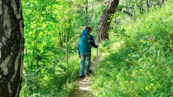 A boy scout with a trekking stick walks through the forest along a tourist route in search of a family camp. A boy with a tourist backpack is hiking along a forest path in search of adventure. - Foto, Imagen