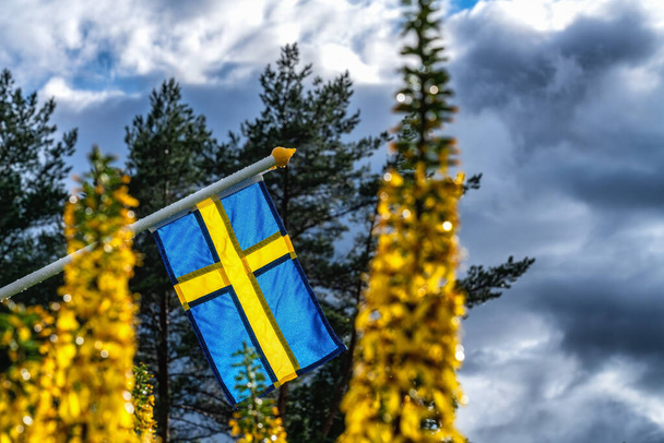 Közelkép a svéd zászló nedves zászlórúd lóg nyugodt időjárás után nyári eső. Homályos sárga virágok, zöld erdő és sötétkék ég - Fotó, kép