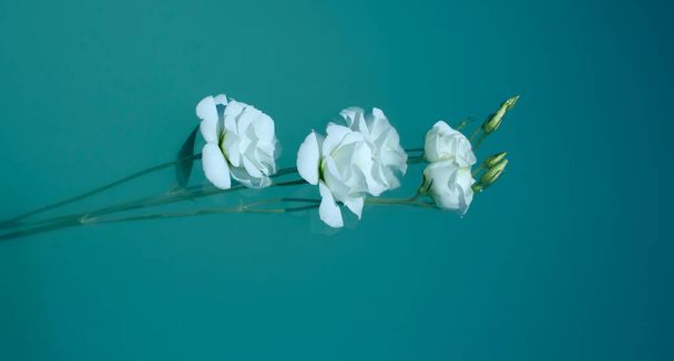 Um buquê de belas flores brancas e frescas flutuando em água azul. - Foto, Imagem