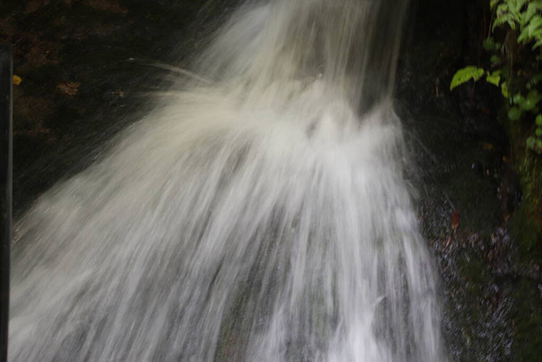 cascadas en Trentino en el norte de Italia - Foto, imagen