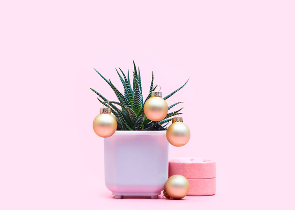 aloë concept met kerstballen op een pastel roze achtergrond, copyspace - Foto, afbeelding