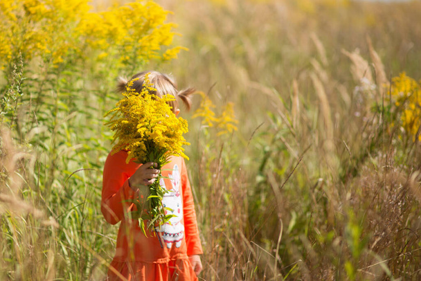 Pretty little girl covers her face with a bouquet of wildflowers against the background of an autumn field. Autumn colors, golden autumn, Indian summer. School holidays are over. - Foto, immagini