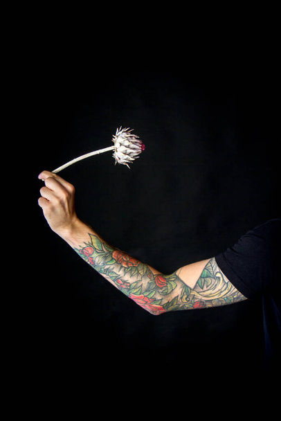 Mão masculina com uma flor de alcachofra seca em fundo preto, cartão ou conceito - Foto, Imagem