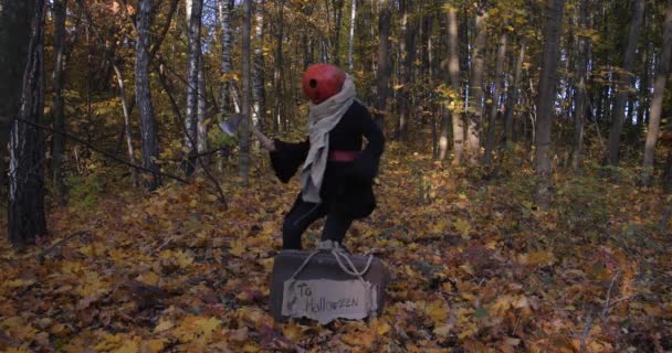Halloween tunnelma .Halloween elokuva .Funny kurpitsa mies syksyllä metsässä - Materiaali, video
