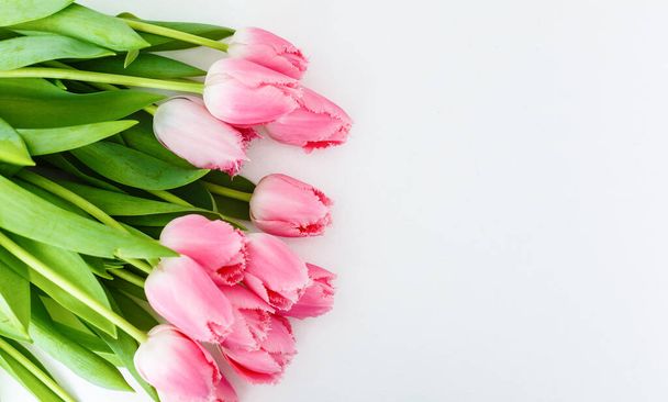Ramo de tulipanes rosados sobre fondo blanco. - Foto, imagen