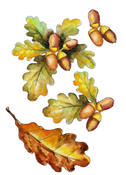 πολύχρωμα φθινοπωρινά φύλλα, φωτεινά χρώματα, ακουαρέλα ζωγραφική χειρωνακτική εργασία, απομονωμένη - Φωτογραφία, εικόνα
