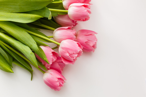 ramo de tulipanes rosados sobre fondo blanco - Foto, imagen
