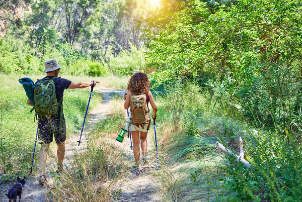 Gyönyörű pár túrázó a hátsó nézet visel hátizsák túrázás segítségével túrázó bot az erdőben - Fotó, kép
