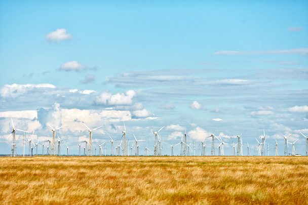rows of wind generators on power station - Valokuva, kuva