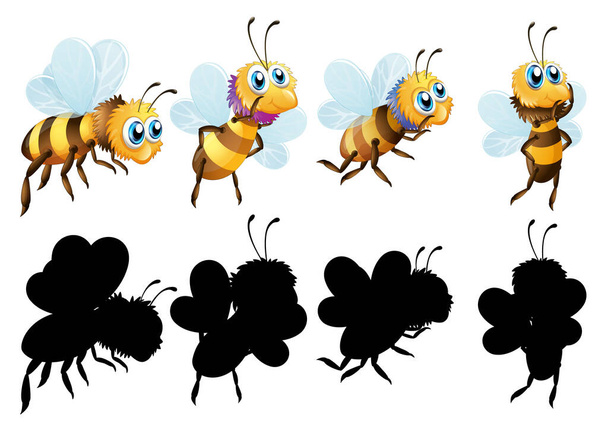 Ensemble de personnage de dessin animé insecte et sa silhouette sur fond blanc illustration - Vecteur, image