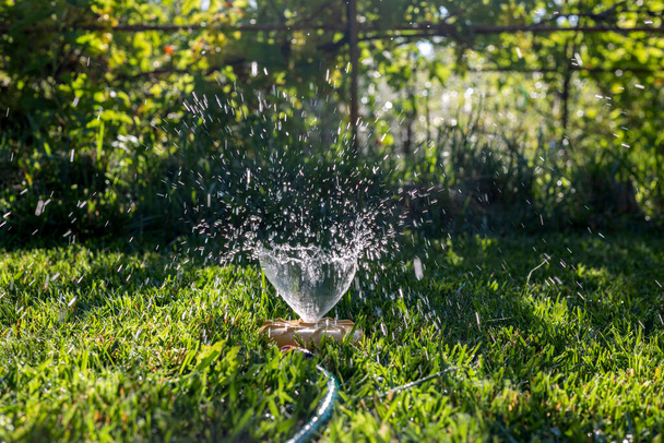 Aspersor universal de jardín sobre un césped verde con una fuente de agua - Foto, imagen