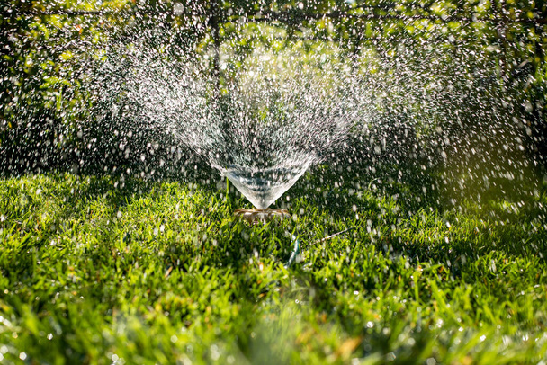 Universal garden sprinkler on a green lawn with a water fountain - Фото, зображення