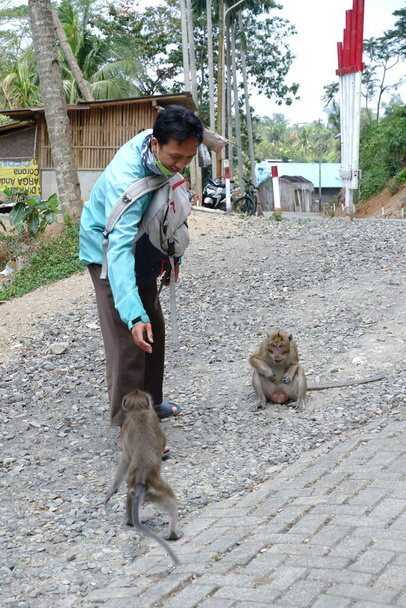 mladý asijský člověk krmení dlouhoocasý opice - Fotografie, Obrázek