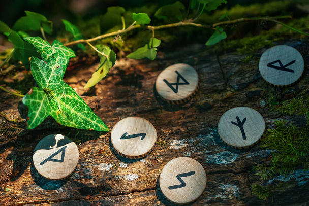 Sur le tronc d'un arbre, recouvert de lierre, se trouvent des runes scandinaves en bois. Le concept de divination et d'ésotérisme. Couleurs sombres. - Photo, image