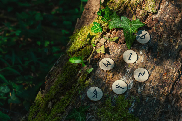 Op de stam van een boom, bedekt met klimop, liggen houten Scandinavische runen. Mystiek licht. Het concept van waarzeggerij en esoterie. Kopieerruimte. - Foto, afbeelding