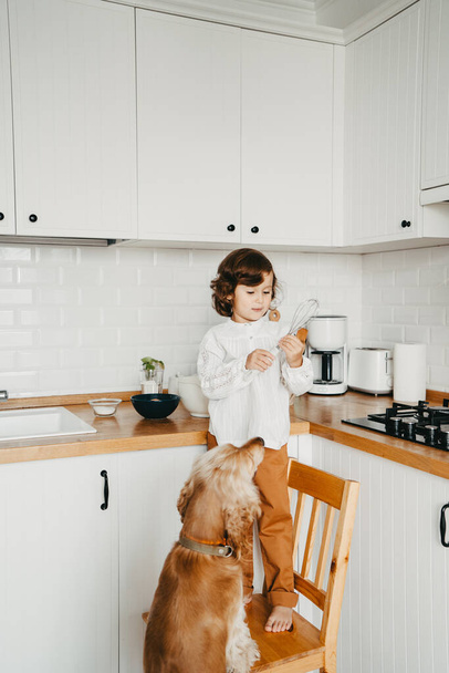 Little girl preparing dough for pancakes at the kitchen. Together with spaniel dog. Concept of food preparation. Casual lifestyle photo series in real life interior - Photo, image