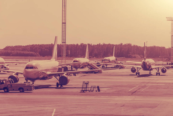Several planes on the large apron of the international airport, warm color toned - Photo, Image