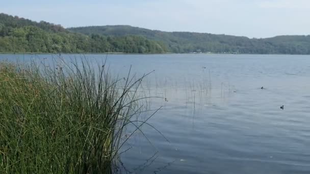 Sopečné jezero Laacher Podívejte se na jeho typickou krajinu v oblasti Eifel Německo. - Záběry, video