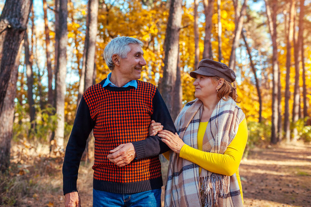 Herbstspaziergang. Seniorenpaar spaziert im Herbstpark und bewundert die Natur. Glückliche Männer und Frauen unterhalten sich, lächeln und entspannen sich im Freien - Foto, Bild
