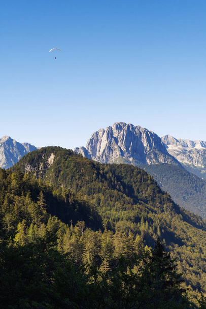 Parapendio distante che sorvola colline boschive di conifere e catene montuose alpine. Parapendio, natura, turismo, alpinismo e silvicoltura - Foto, immagini