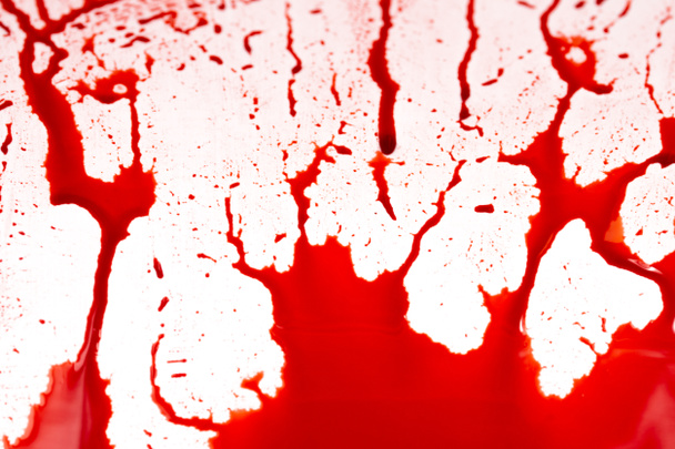 Bloody splashes and drops on a white background. Dripping and following red blood (paint) - Photo, Image