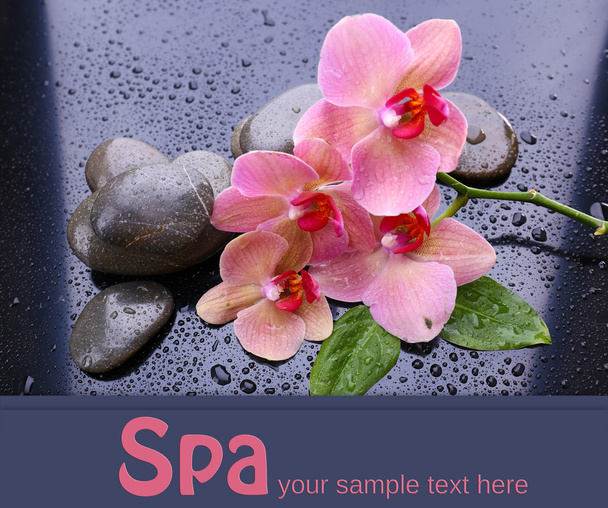 Composition with beautiful blooming orchid with water drops and spa stones, on gray background - Photo, image