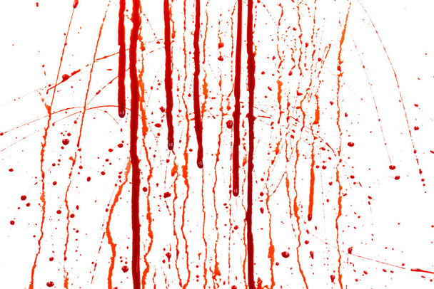 Goteando sangre aislada sobre fondo blanco. Flujo de salpicaduras de sangre roja, gotas y rastro - Foto, imagen