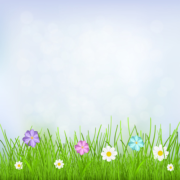 achtergrond met sky, gras en bloemen - Vector, afbeelding