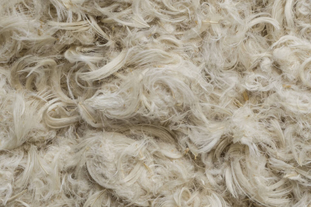 Plumes d'oie blanche et duvet d'oreillers texture fond - Photo, image
