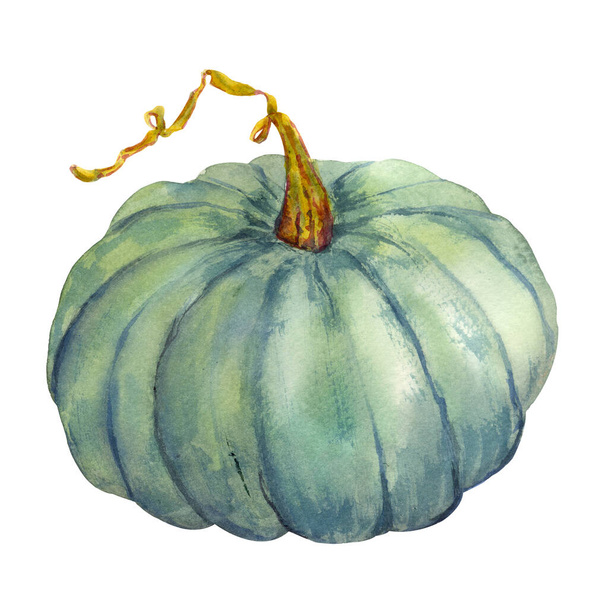 Happy Thanksgiving Pumpkin. Watercolor painting on a white background. Autumn harvest. - Fotoğraf, Görsel
