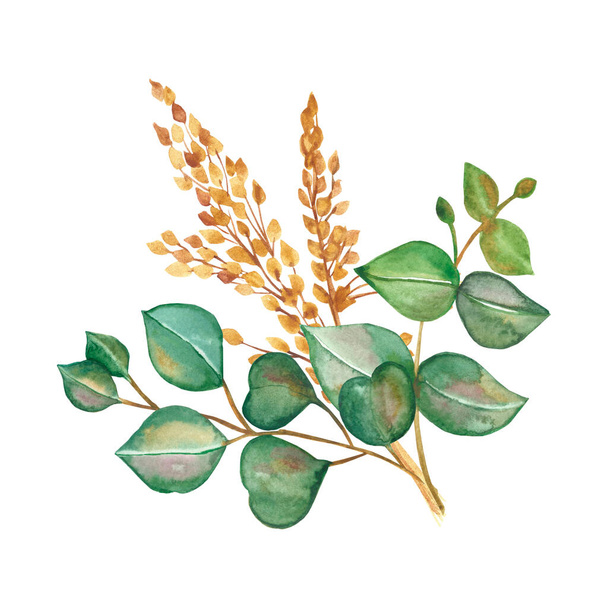 Watercolor hand painted nature greenery frain fields cereals plants composition with green eucalyptus leaves and yellow ear of grain bouquet on the white background for cards design - Foto, Imagem