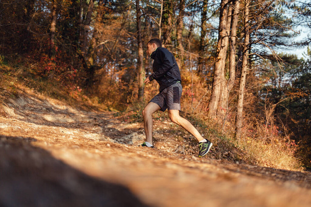 Η έννοια του αθλητισμού και του υγιεινού τρόπου ζωής. Ένας νεαρός λεπτός άνδρας με αθλητικά ρούχα ασχολείται με το τρέξιμο ανηφόρα στο φθινόπωρο δάσος ή Πάρκο. - Φωτογραφία, εικόνα