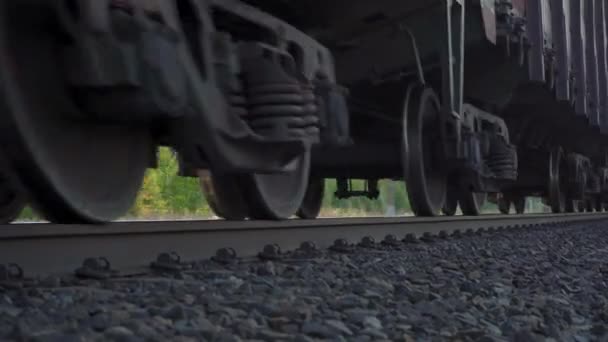 Video of moving goods train on the railway - Footage, Video