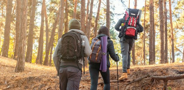 Tři mladí přátelé Backpackers zkoumání lesa společně - Fotografie, Obrázek