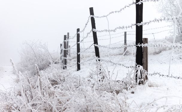 Recinzione invernale Frosy con filo spinato
 - Foto, immagini