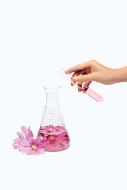 Production of natural flower cosmetics, petal extract in a chemical bottle. Essential oil from fresh herbs - Photo, image