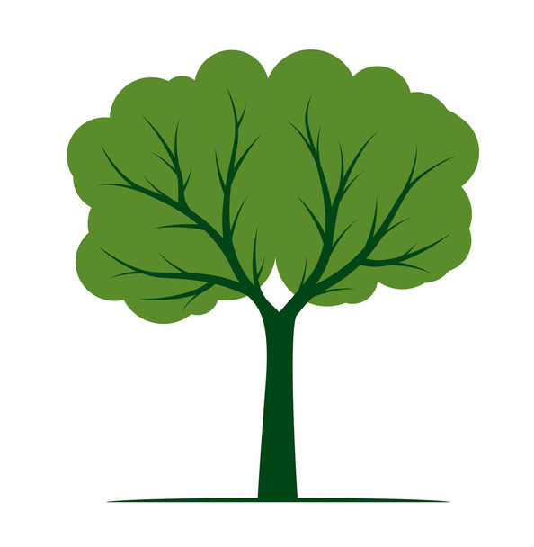 Shape of Tree with green leaves. Vector outline Illustration. Plant in Garden. EPS file. - Vector, imagen