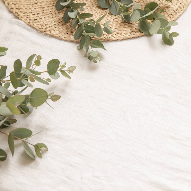 Natural materials style with leaves of eucalyptus on a light fabric background. - Photo, Image