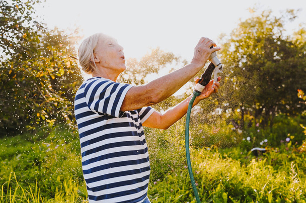 Szczęśliwa starsza pani bawiąca się podlewaniem roślin wężem w ogrodzie letnim. Krople wody w podświetleniu. Rolnictwo, ogrodnictwo, rolnictwo, ludzie w starszym wieku. Uprawa warzyw ekologicznych w gospodarstwie.  - Zdjęcie, obraz