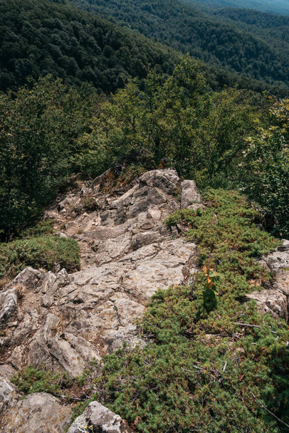 Belas montanhas rochosas no Parque Nacional. Natureza da Rússia. Bela vista panorâmica do topo de uma montanha rochosa para a floresta e vale. - Foto, Imagem