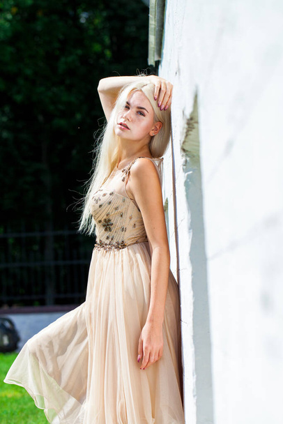 Portrait of a young beautiful blonde woman in beige dress - Foto, Imagem
